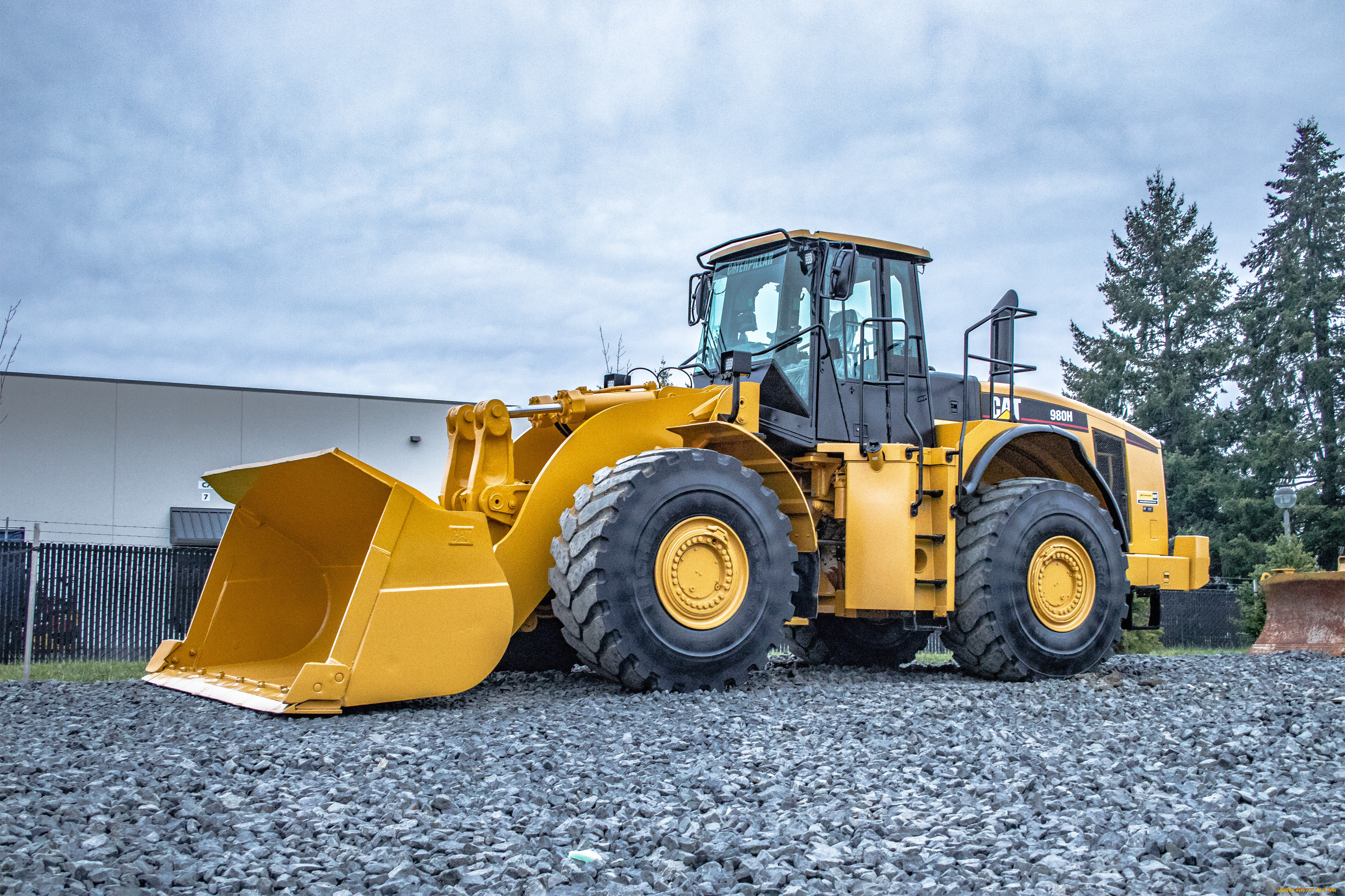 ,  , caterpillar